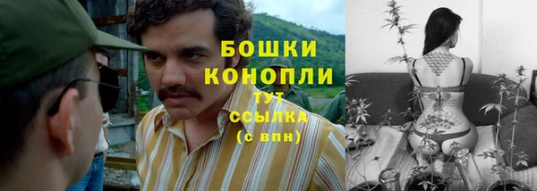крисы Новодвинск