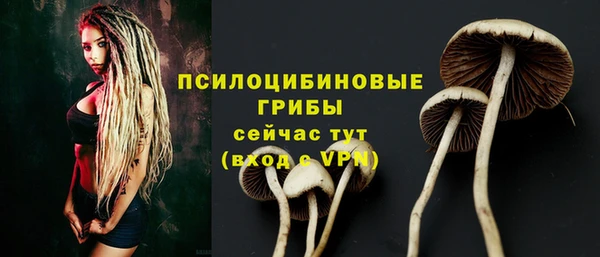 ПСИЛОЦИБИНОВЫЕ ГРИБЫ Новокубанск