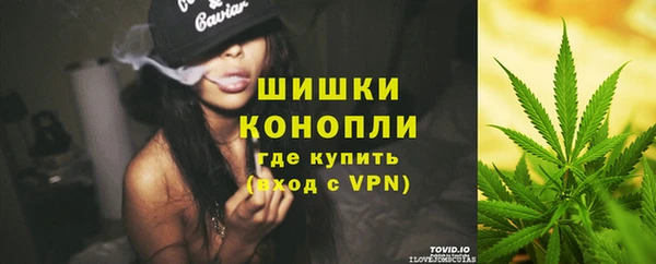 ПСИЛОЦИБИНОВЫЕ ГРИБЫ Новокубанск