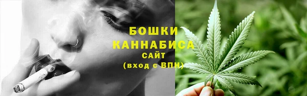ПСИЛОЦИБИНОВЫЕ ГРИБЫ Новокубанск