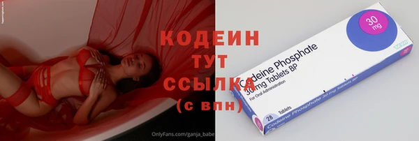 крисы Новодвинск