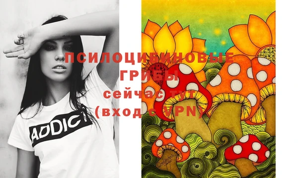 крисы Новодвинск