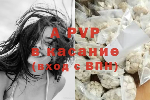 крисы Новодвинск