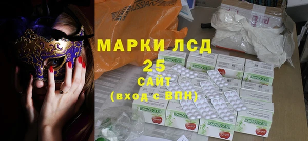 крисы Новодвинск
