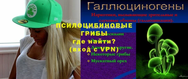 ПСИЛОЦИБИНОВЫЕ ГРИБЫ Новокубанск