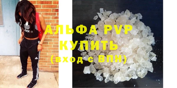 ПСИЛОЦИБИНОВЫЕ ГРИБЫ Новокубанск