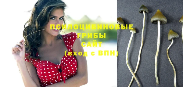 крисы Новодвинск