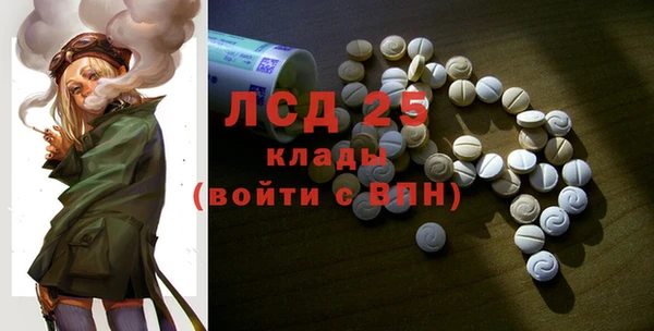крисы Новодвинск