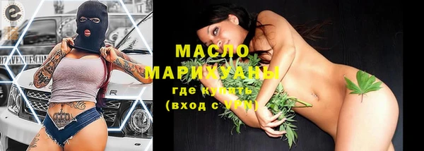 крисы Новодвинск