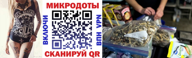 Псилоцибиновые грибы Psilocybe  Ярославль 